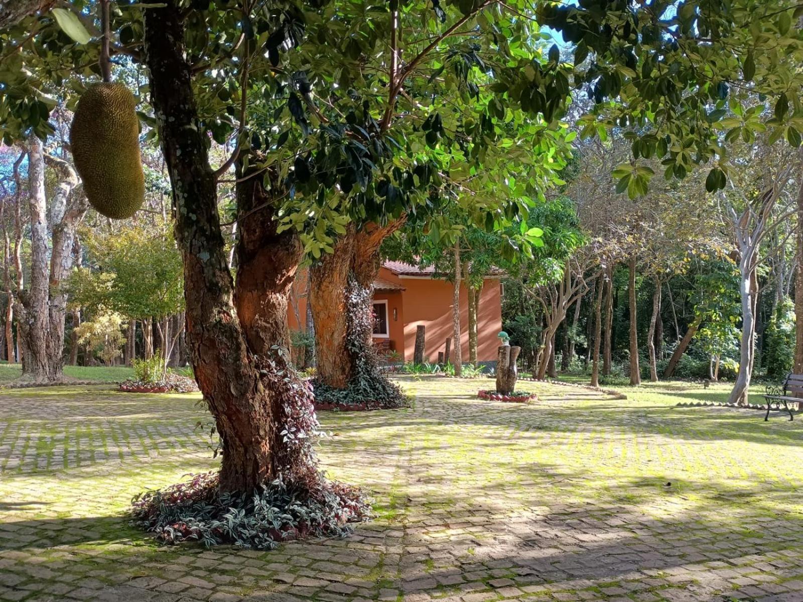 Villaflor Pousada Vale do Capão Exterior foto